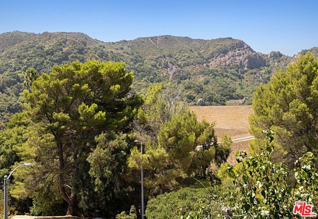 Drew Fenton | 1476 Palisades Drive Pacific Palisades CA | MLS: 7362265