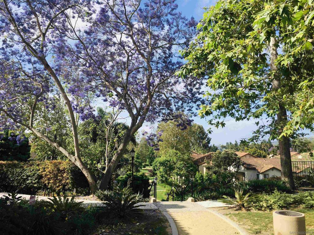 7405 Charmant Drive
