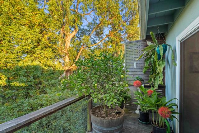 1890 Wharf Road, Capitola CA: https://media.crmls.org/mediaz/fcfe11eb-72c8-4548-a7c8-8e548950055a.jpg