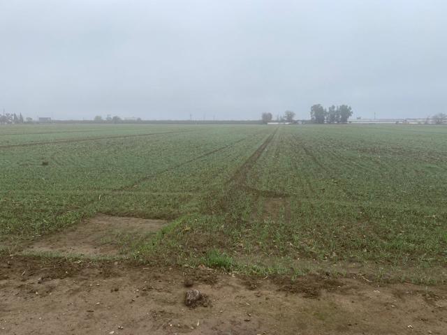 Image 1 of 20 For 31216 Sullivan Road