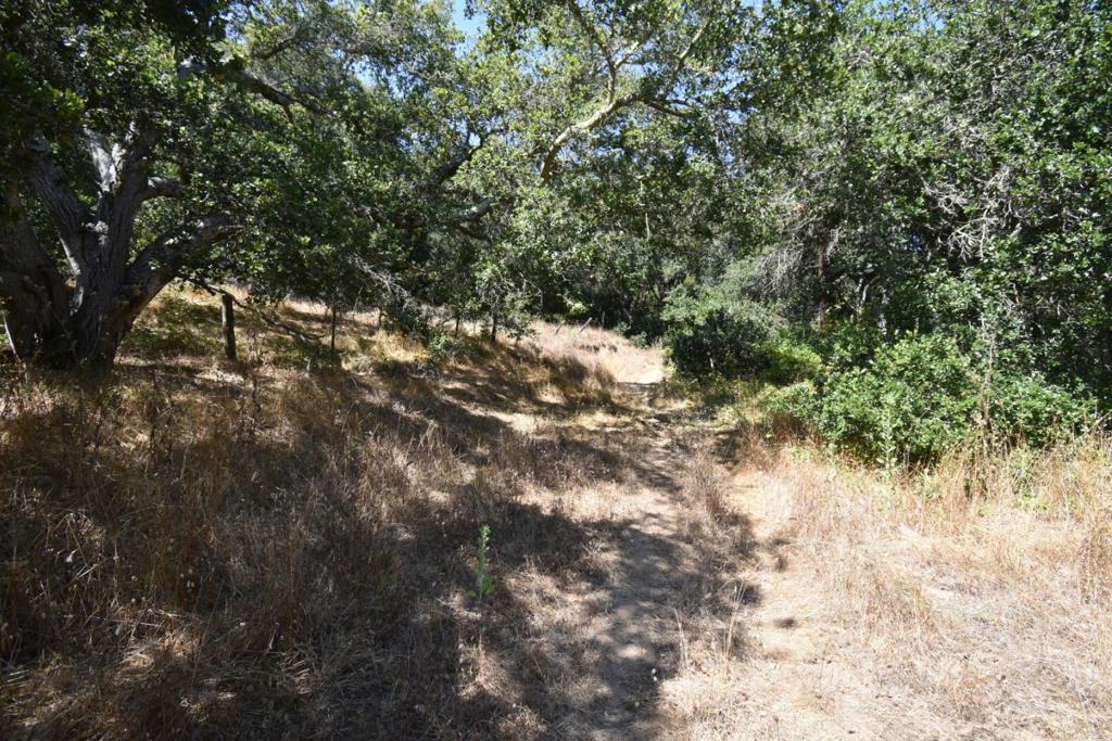 MLS #ML81994433 image #53