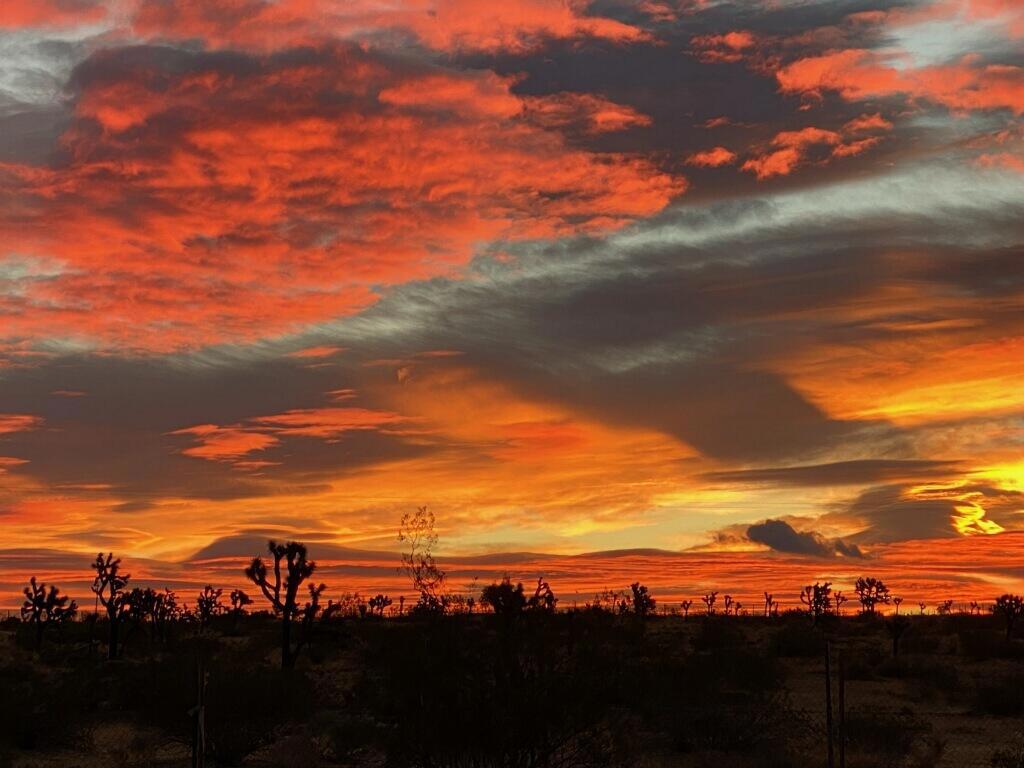 44252 203rd Street E