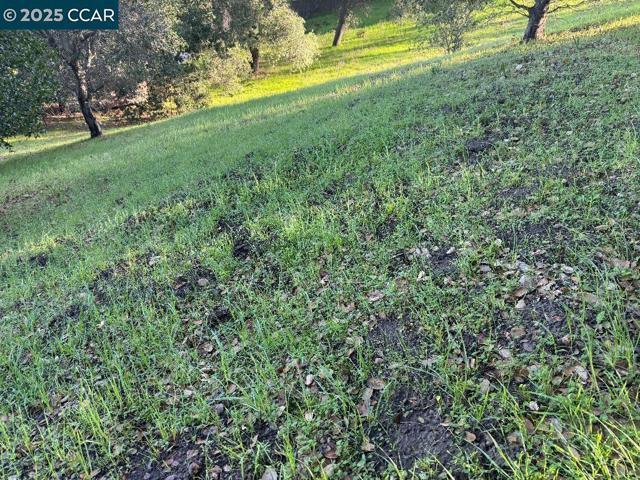 43 Cuesta way, Walnut Creek CA: https://media.crmls.org/mediaz/fd35cde8-88b7-4242-aebb-82dbfd87575b.jpg