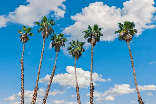 38855 Paradise Way, Cathedral City CA: https://media.crmls.org/mediaz/fd374adf-4aec-47fb-87ba-17121431eef1.jpg