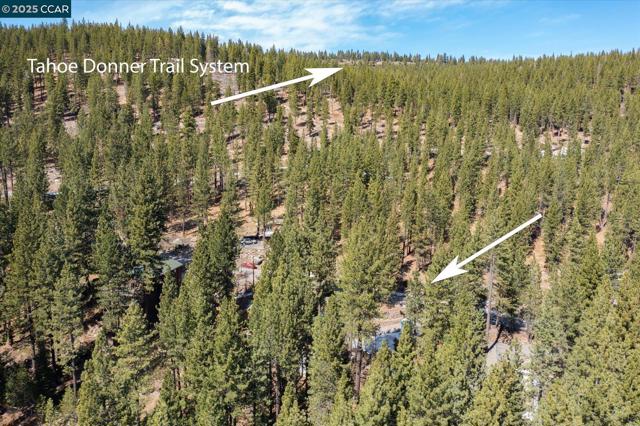 12255 Sierra Dr, Truckee CA: https://media.crmls.org/mediaz/fd3c88f4-d39c-4692-ab14-b5840b99ceb3.jpg