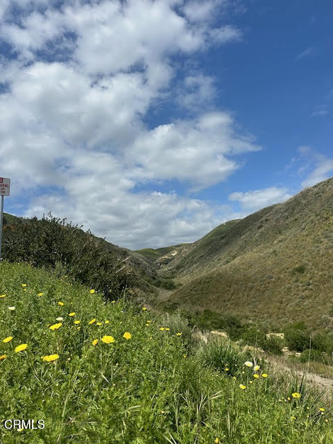 MLS #V1-28403 image #15