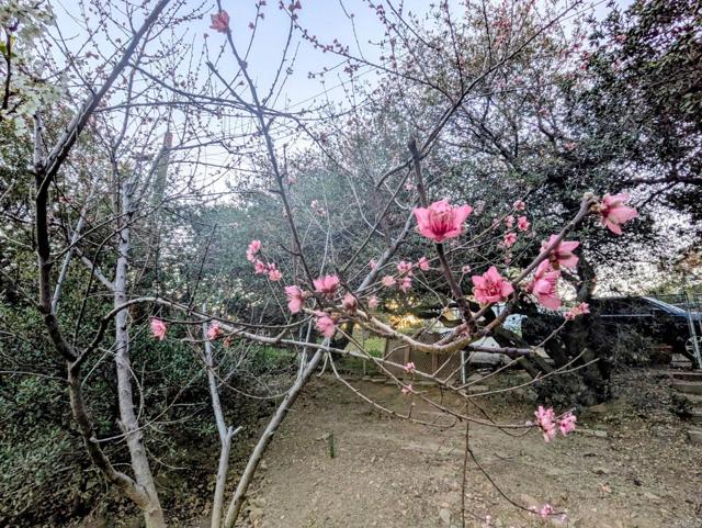 Detail Gallery Image 27 of 35 For 2855 Heliotrope Dr, Julian,  CA 92036 - 2 Beds | 2 Baths