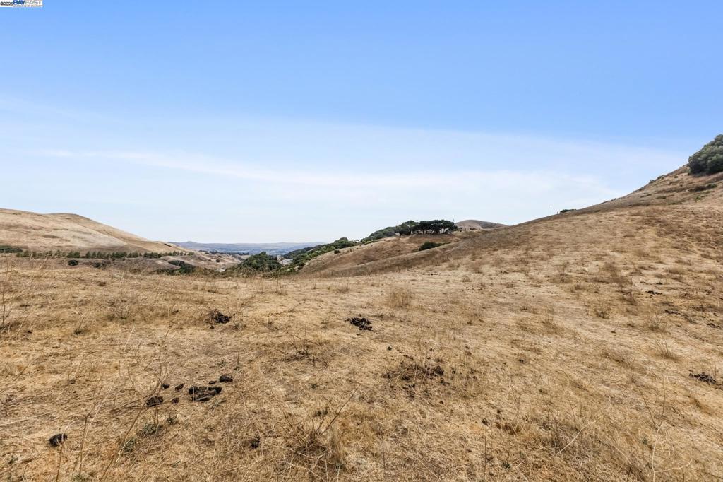 https://media.crmls.org/mediaz/fd4795a7-870c-4281-9267-b2d2998a6da5.jpg?preset=X-Large