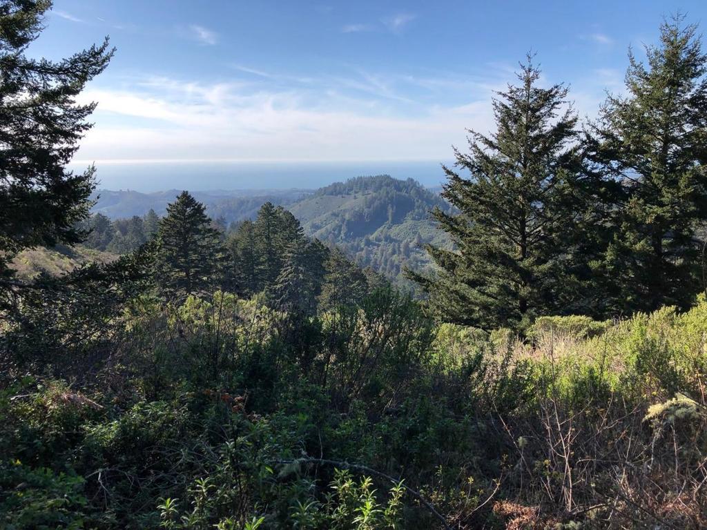 MLS #ML81979482 image #28