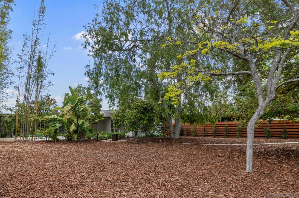 MLS #250030697SD img 13