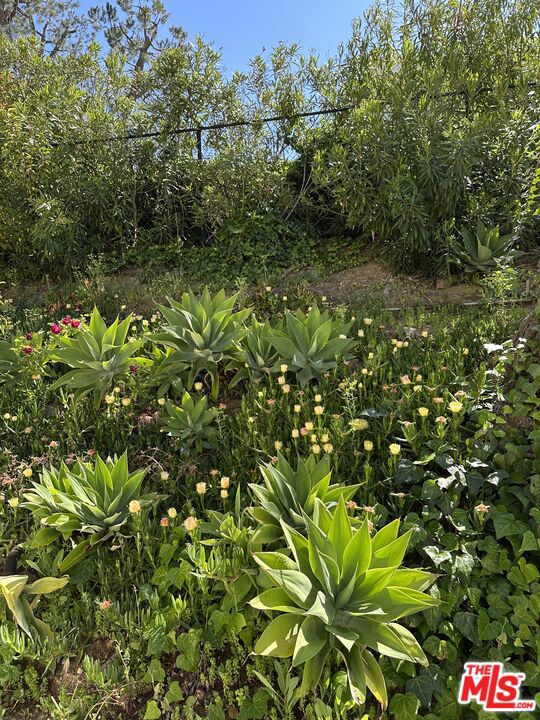 9781 Blantyre Drive, Beverly Hills CA: https://media.crmls.org/mediaz/fd4eb70b-7f46-4b13-89a2-81371b488844.jpg