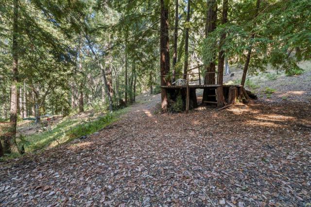 19900 Kings Creek Road, Boulder Creek CA: https://media.crmls.org/mediaz/fd52aec7-4340-41cb-9764-34f34f3fc849.jpg