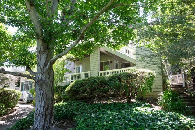 699 Manresa Lane, Los Altos CA: https://media.crmls.org/mediaz/fd5b1271-09d0-4fdf-a5a5-30aab85ca2e8.jpg