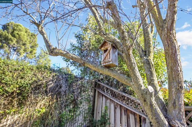 Image 35 of 37 For 782 Ygnacio Woods Ct