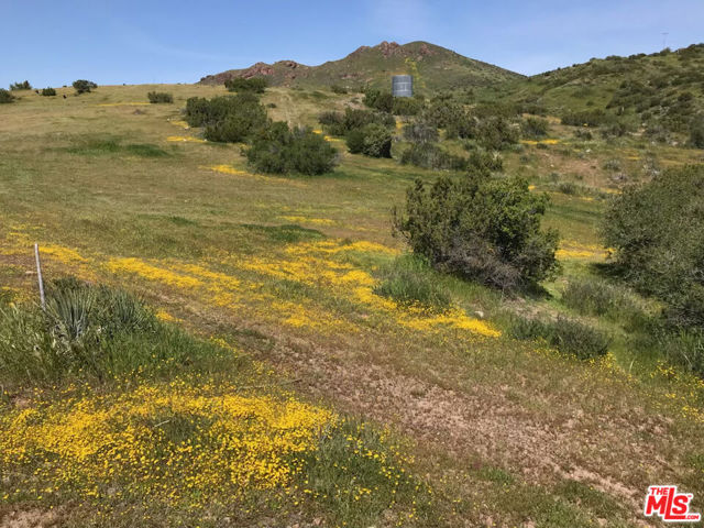  Commercial for Sale in Agua Dulce, California