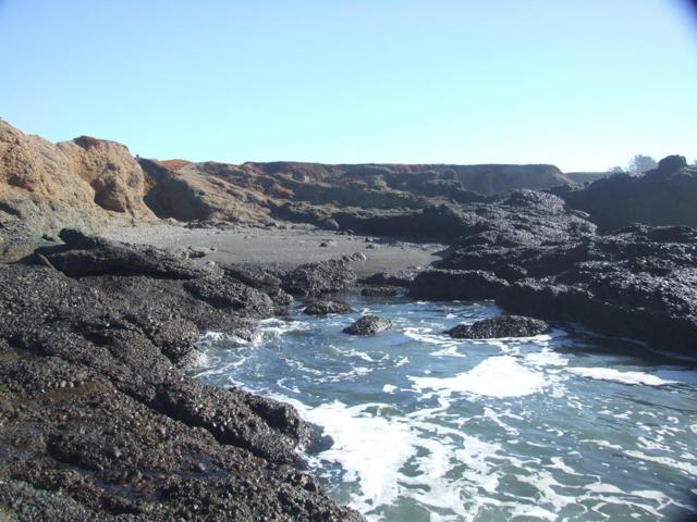 10247 Cabrillo Highway, Pescadero CA: https://media.crmls.org/mediaz/fd8306c5-e974-4be2-b0c6-315d4fca5087.jpg