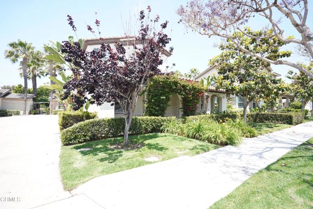341 Spring Park Road, Camarillo CA: https://media.crmls.org/mediaz/fd8dde0b-8e01-442c-be3e-d72a610f9c52.jpg