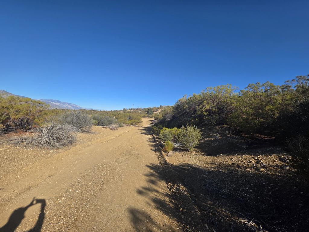 MLS #219138845DA image #10