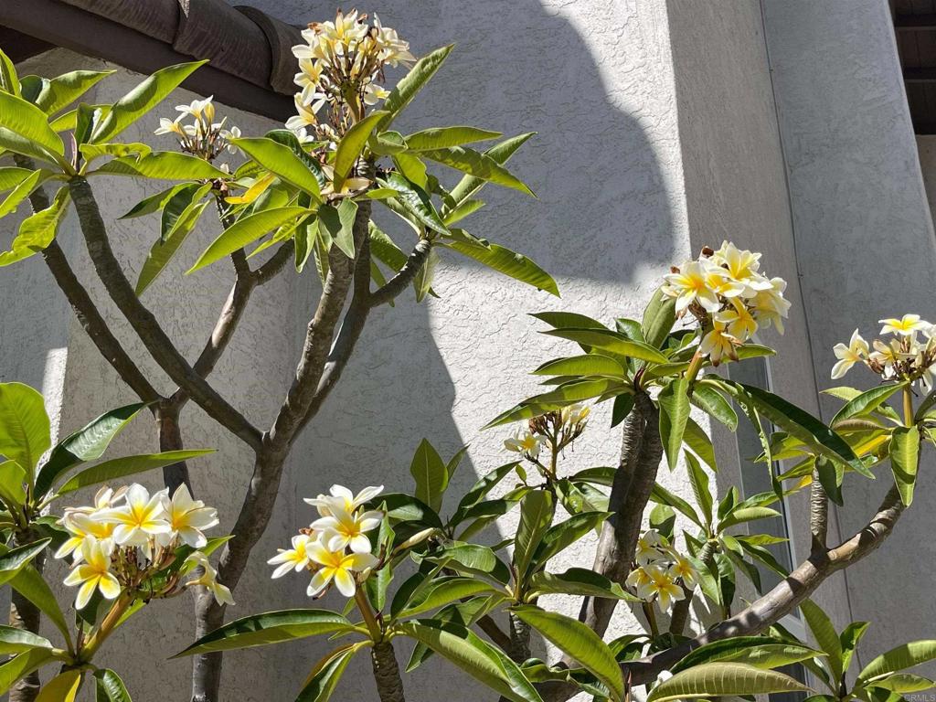 https://media.crmls.org/mediaz/fd9414cf-5e90-495d-a04b-b30cf698d969.jpg?preset=X-Large