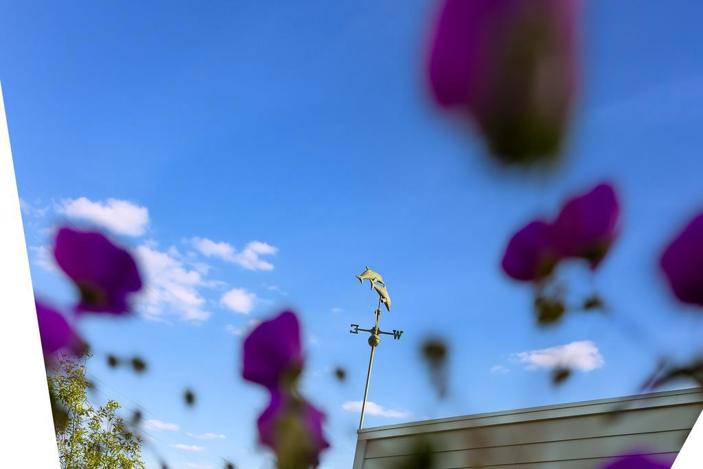 https://media.crmls.org/mediaz/fda29019-930d-4bdc-aaf6-46f482b6ee66.jpg?preset=X-Large