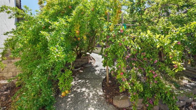 3427 San Saba Drive, San Jose CA: https://media.crmls.org/mediaz/fdac6ba9-b12e-434b-a173-51836364b492.jpg