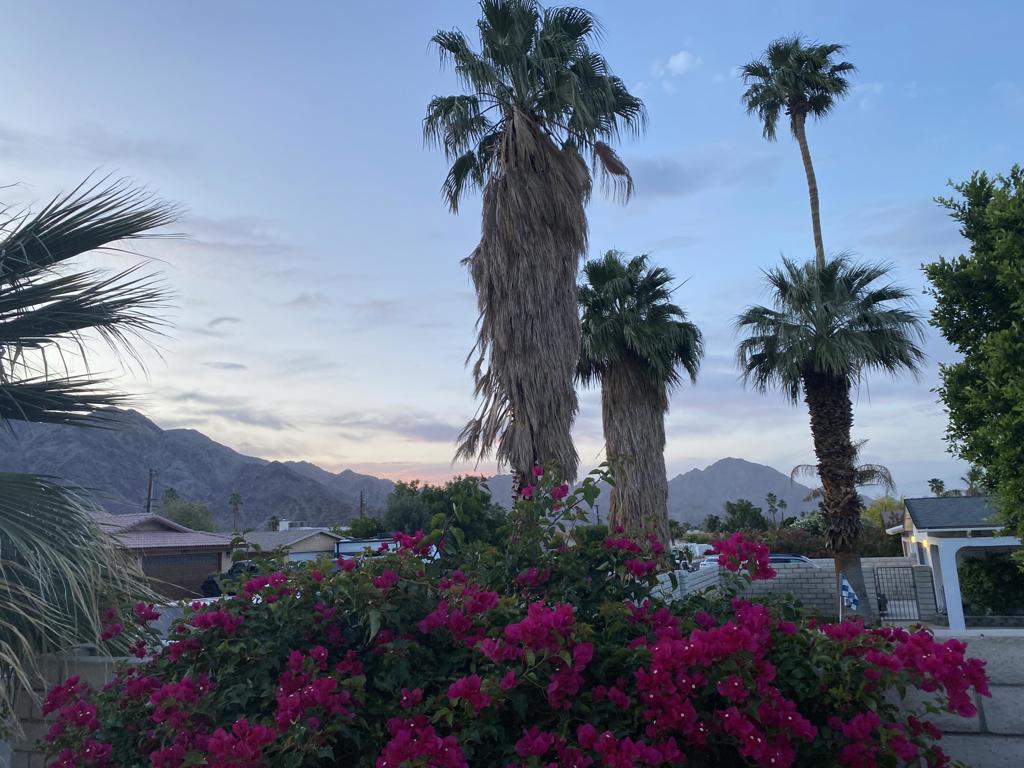 https://media.crmls.org/mediaz/fdb2309b-c459-456b-8a4e-2bfab7c49f76.jpg?preset=X-Large