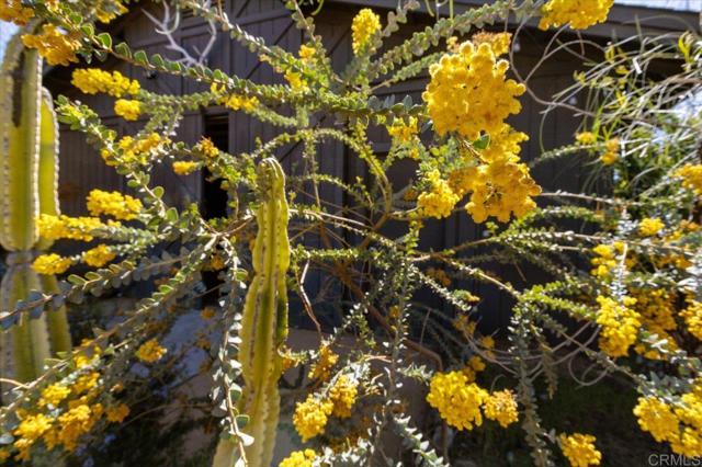 40707 Intrepid Rd, Hemet CA: https://media.crmls.org/mediaz/fdbc771a-6238-4a5e-9387-250e410e124d.jpg