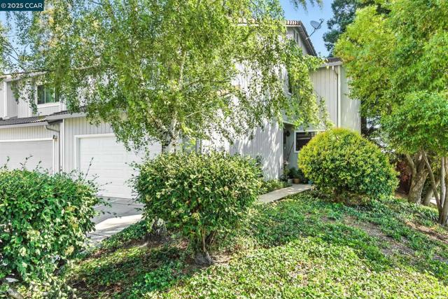 223 Via Pinada Ln, Martinez CA: https://media.crmls.org/mediaz/fdc1941f-5f4c-41f7-bbd5-43ca30f415fe.jpg