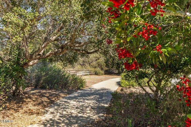 Detail Gallery Image 24 of 32 For 7429 Nixon Ct, Ventura,  CA 93003 - 4 Beds | 3 Baths