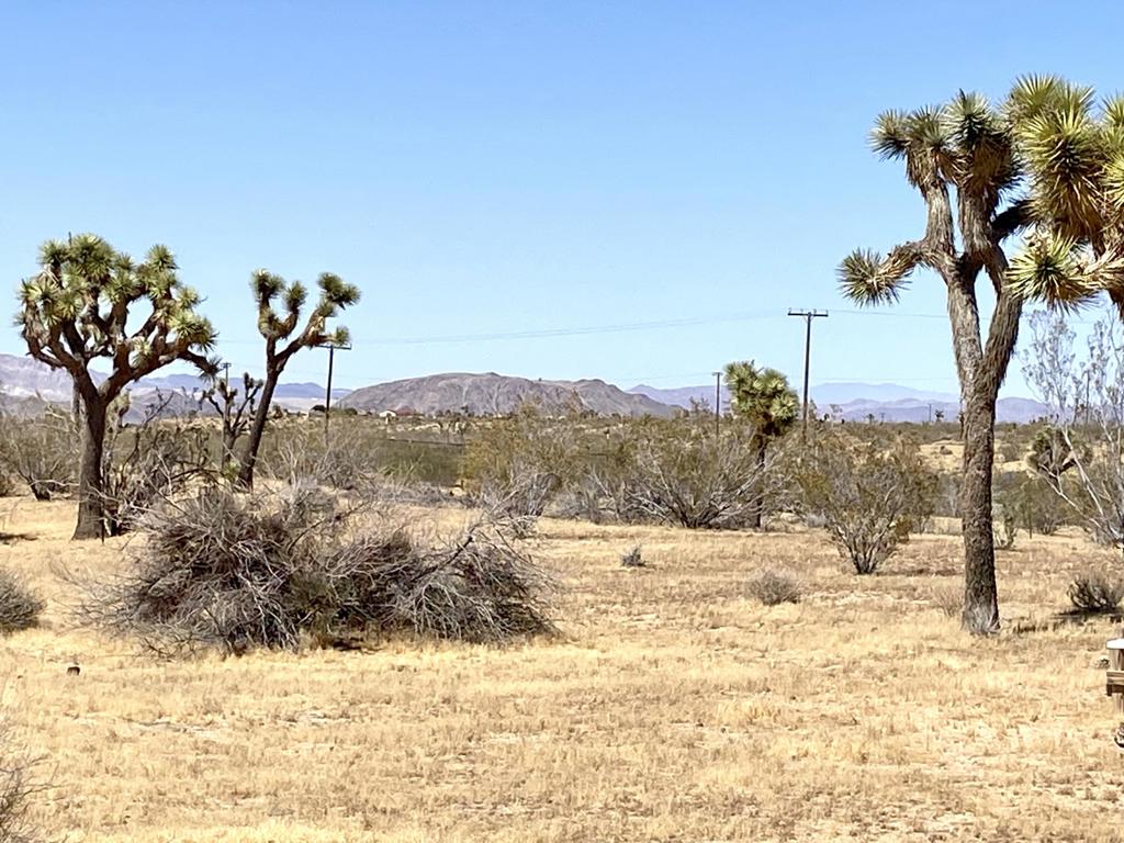 https://media.crmls.org/mediaz/fde4cc4a-0336-431d-9250-9bd7a20da286.jpg?preset=X-Large