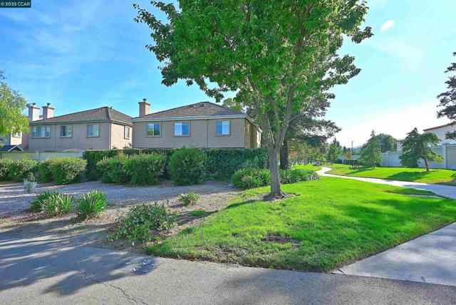 230 Triana Way, San Ramon CA: https://media.crmls.org/mediaz/fdea6a2b-765e-4712-bd78-c1b44411c98e.jpg