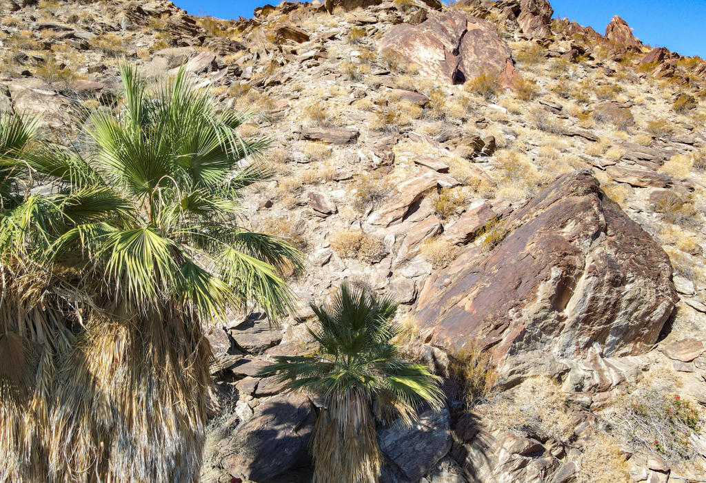 MLS #219131556PS image #30