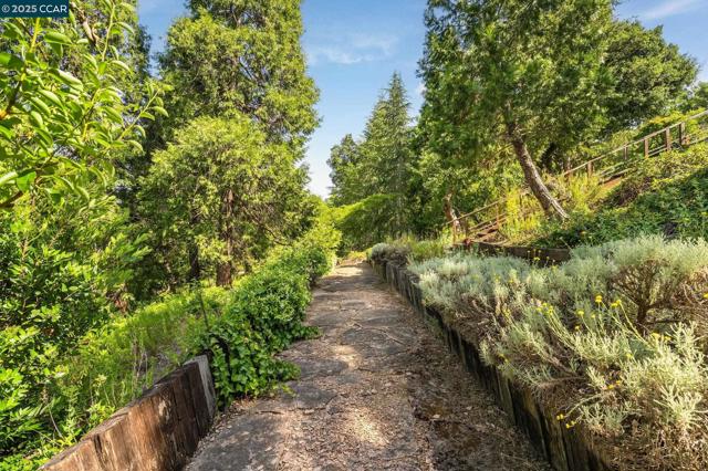 3402 Goyak Dr, Lafayette CA: https://media.crmls.org/mediaz/fdeffa2d-44e4-4155-92cc-b3a9d108ee61.jpg