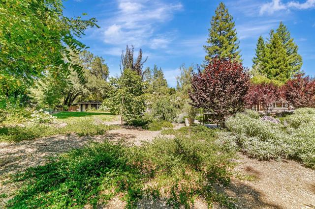 19273 Citrus Lane, Saratoga CA: https://media.crmls.org/mediaz/fdf04fd1-0e07-4c32-9545-d91f92299eac.jpg