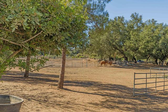 Detail Gallery Image 45 of 74 For 22544 Tombill Rd, Ramona,  CA 92065 - 4 Beds | 3/1 Baths