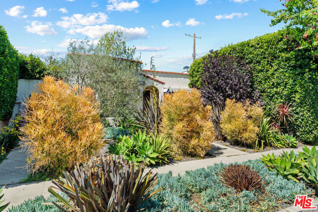 MLS #25607819 image #5