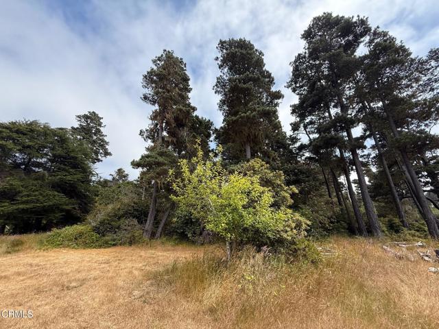 18391 Old Coast Highway, Fort Bragg CA: https://media.crmls.org/mediaz/fe0606e2-5b39-40d0-855a-482c66256b32.jpg
