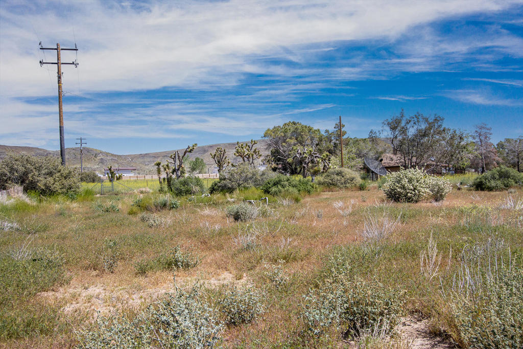 MLS #219139121PS image #7