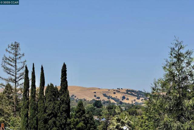 277 Holiday Hills Dr, Martinez CA: https://media.crmls.org/mediaz/fe121e4a-a08a-4276-9518-2fb7b8092e3b.jpg