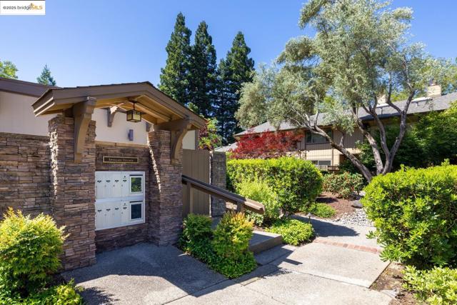 128 Alamo Sq, Alamo CA: https://media.crmls.org/mediaz/fe130450-194f-42c1-bfde-81348b57bb7b.jpg