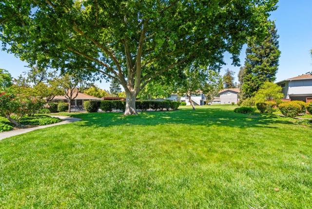 1131 Reed Avenue, Sunnyvale CA: https://media.crmls.org/mediaz/fe14e923-1f58-49c4-96f5-fb686487a3d1.jpg