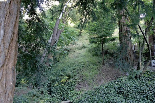 0 Thornhill Dr, Oakland CA: https://media.crmls.org/mediaz/fe2039a4-be37-4378-92b5-0d809f434856.jpg