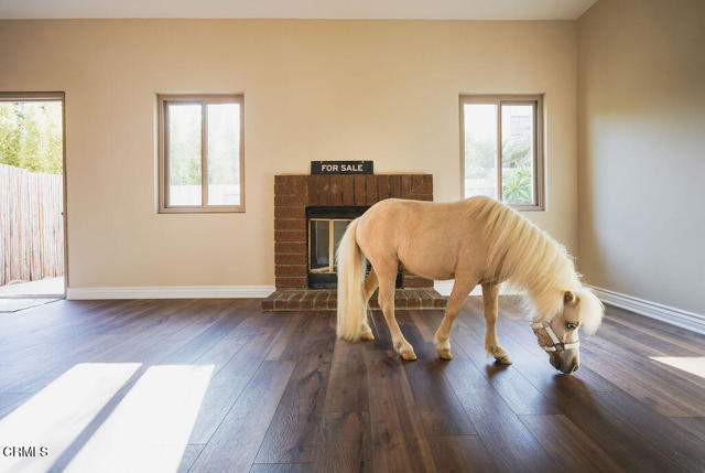2321 Pima Lane, Ventura CA: https://media.crmls.org/mediaz/fe20580b-67c2-4253-94ba-38296c8925c0.jpg