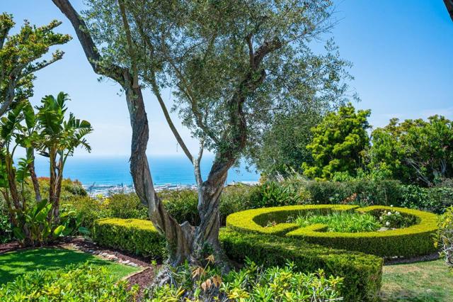 7316 Encelia Dr., La Jolla CA: https://media.crmls.org/mediaz/fe2d7290-257f-473c-b9fe-9d32816fab8b.jpg