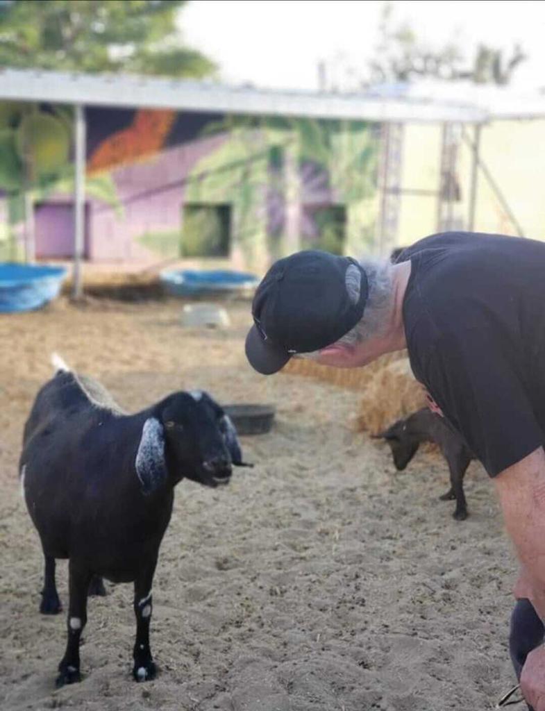 MLS #219138603PS image #33