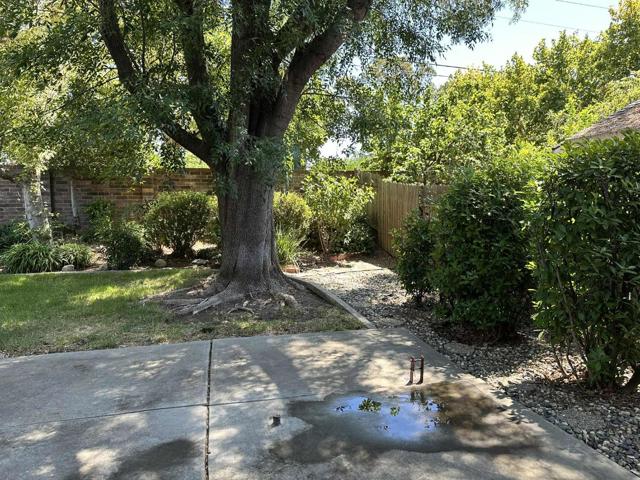 8959 Boreal Way, Elk Grove CA: https://media.crmls.org/mediaz/fe3d46ae-899f-4042-8872-dbeaa8a13f2f.jpg