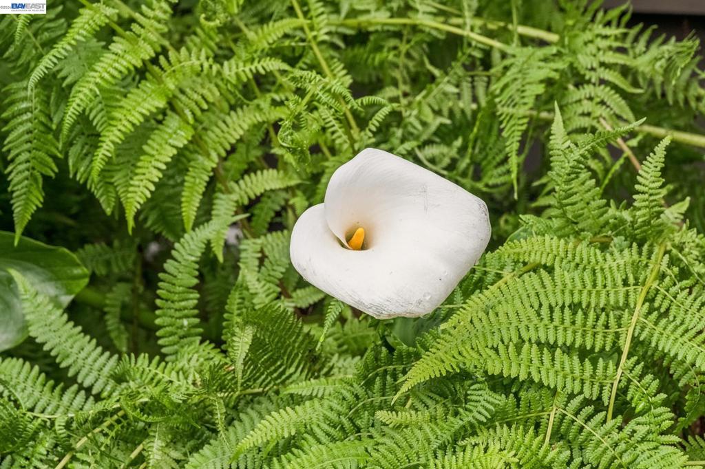 https://media.crmls.org/mediaz/fe4441fc-6519-46e7-8aaf-489125951e14.jpg?preset=X-Large