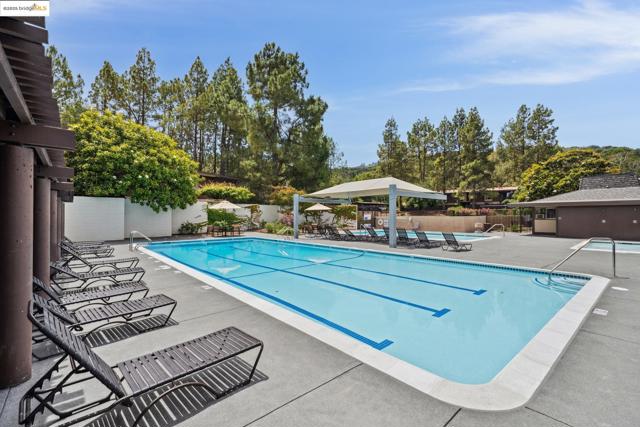 3 Forest Lane, San Rafael CA: https://media.crmls.org/mediaz/fe55fd57-b5a4-4bf6-94bf-3a13596c5918.jpg