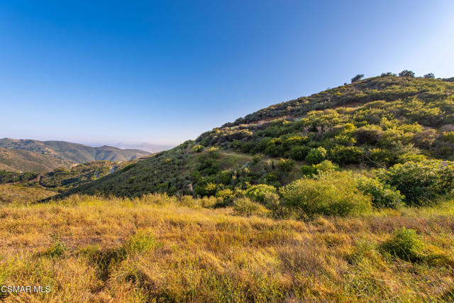 0 Malibu Road, Malibu CA: https://media.crmls.org/mediaz/fe5f2452-1624-4eb0-b6d4-80a24664b414.jpg