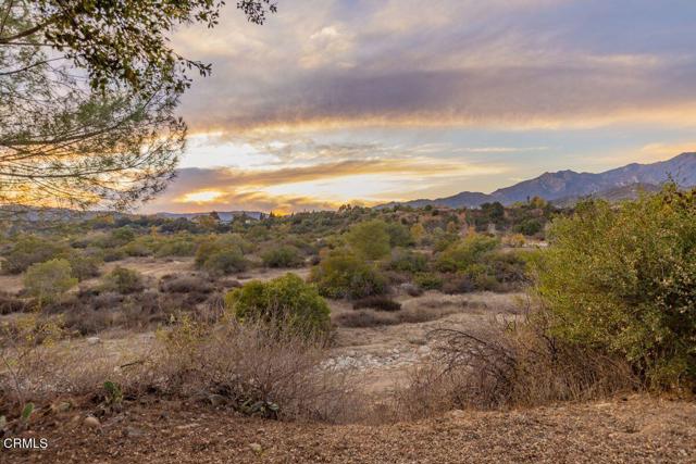1035 Moreno Drive, Ojai CA: https://media.crmls.org/mediaz/fe652ac8-42f6-4ced-bd0f-031a9e96f80d.jpg